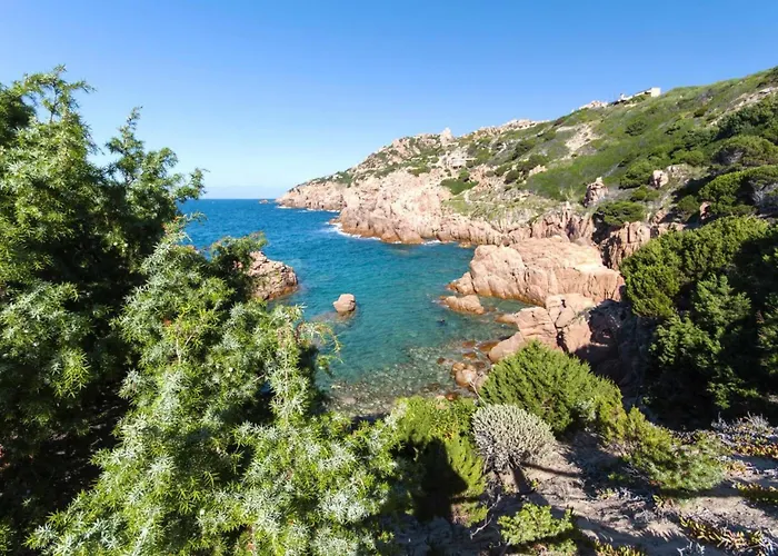 Terraced House In With Terrace Ferienhaus *